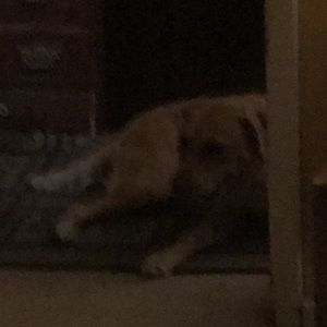 Meet your Posher, Tim